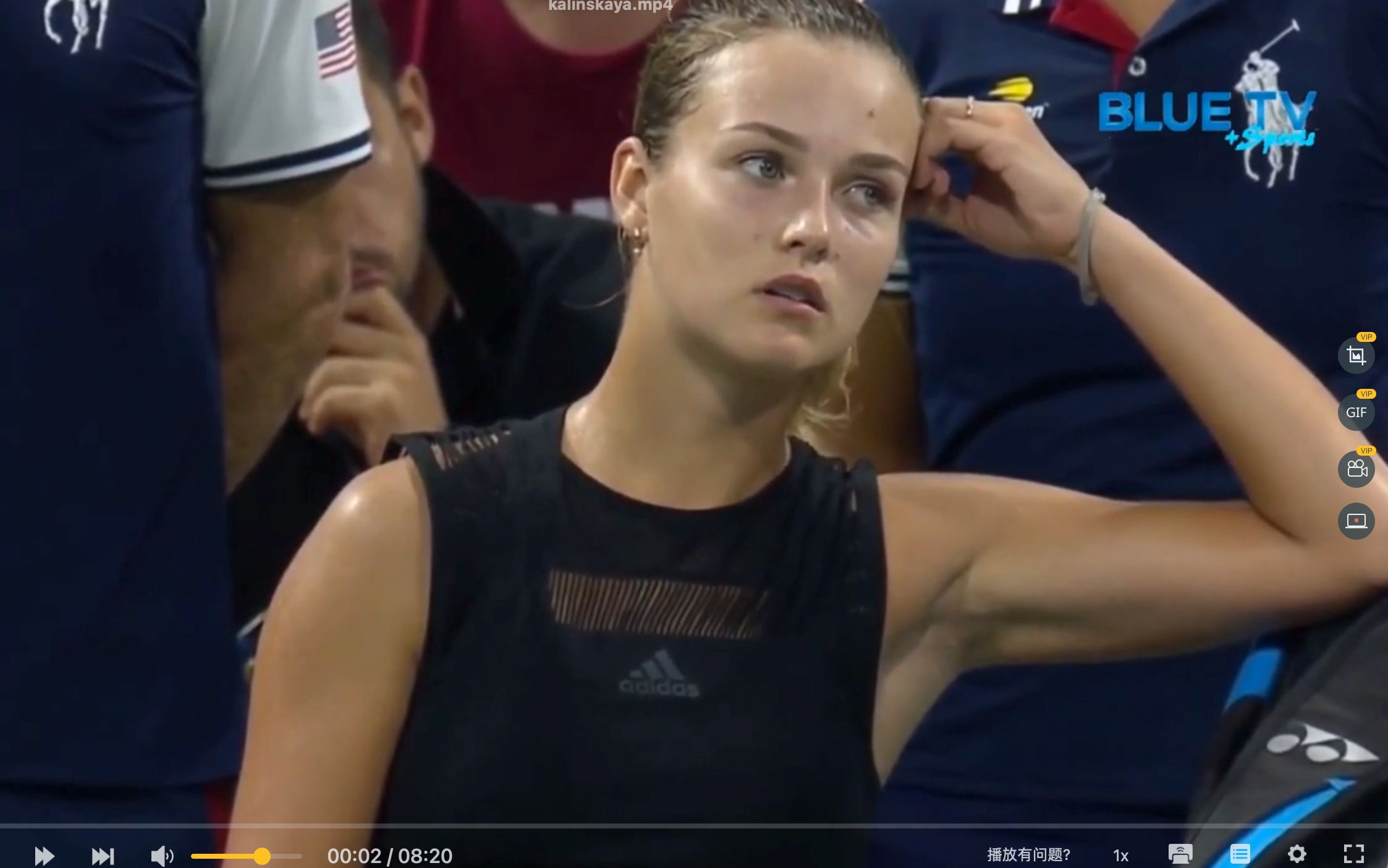 术上有着极 术上有着极